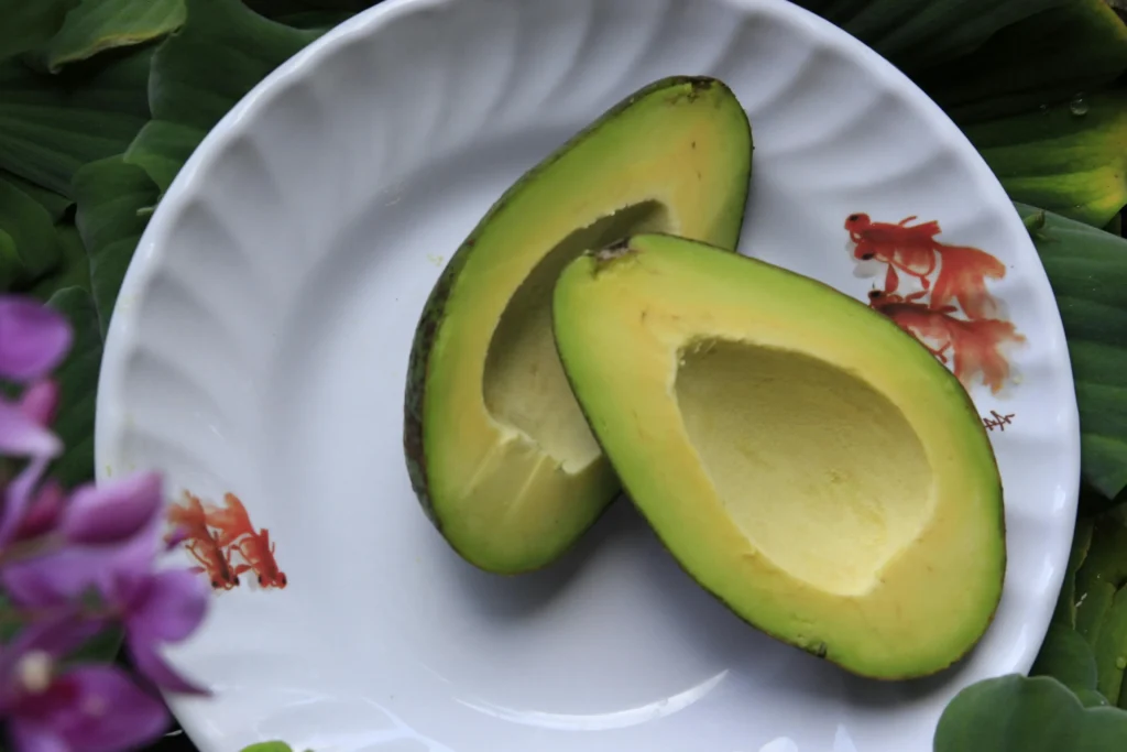 Avocado